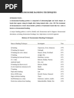 Download Chromosome Banding Techniques by saahiba16 SN39869287 doc pdf