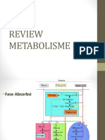 Review Metabolisme