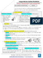 Resumen Natural 7 Science Primaria