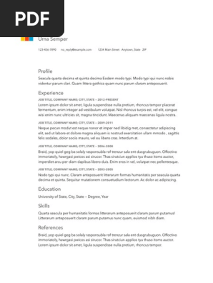 Modern Resume