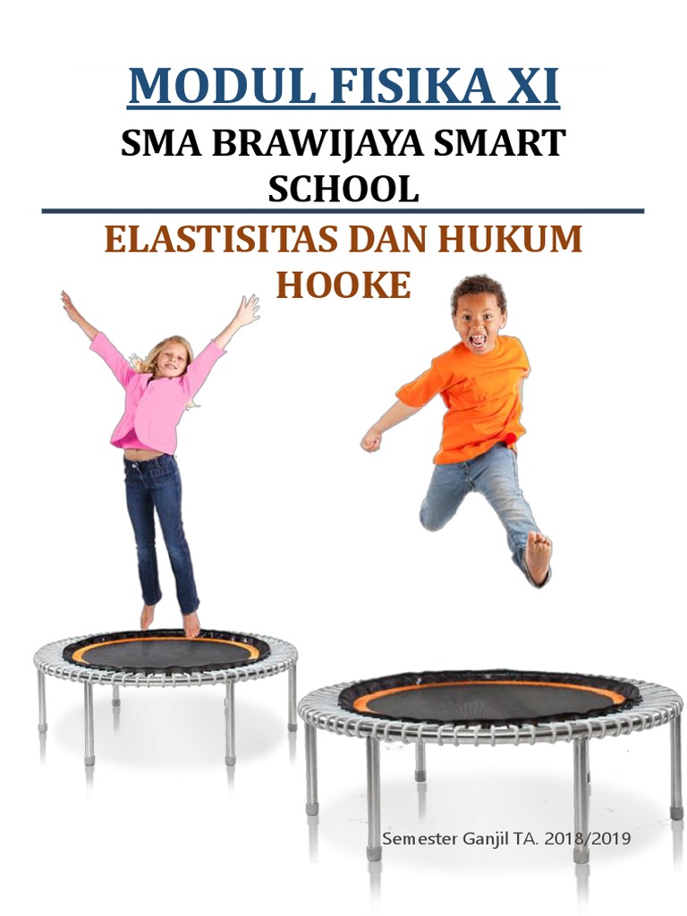 Elastisitas dan Hukum Hooke dalam Fisika | PDF