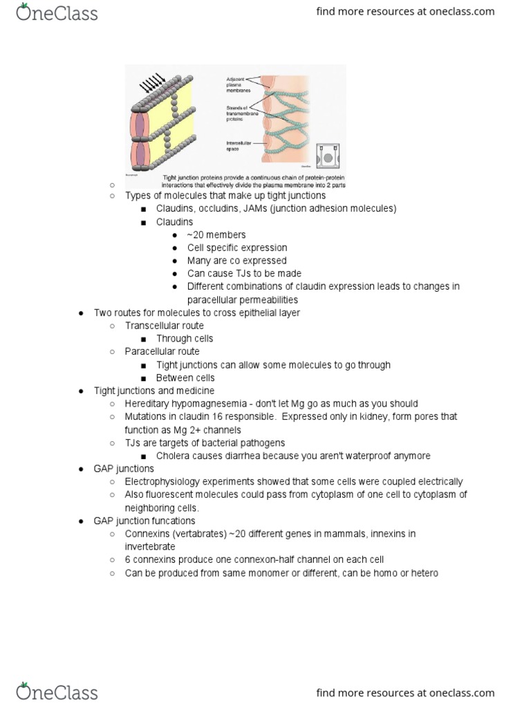 MCB 252 Final Exam 4 Review Guide 17
