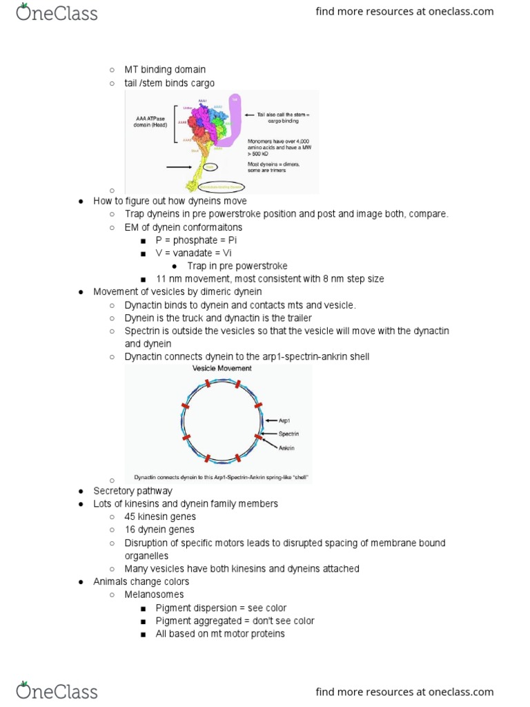 MCB 252 Final Exam 4 Review Guide 8 PDF