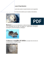 Animales de laboratorio más comunes: ratas, ratones, cobayas y conejos