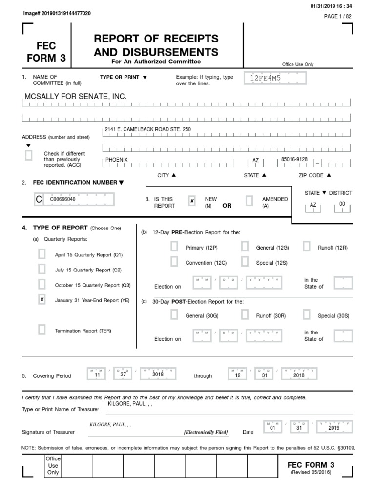 FEC Form 3: MCSally Senate Report | PDF | Political Action Committee ...