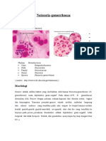 Fadhilah Mardhatillah - Tugas Neisseria Gonorrhoeae