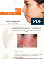 Dermatologija - Bolesti Lojnih Zlijezda