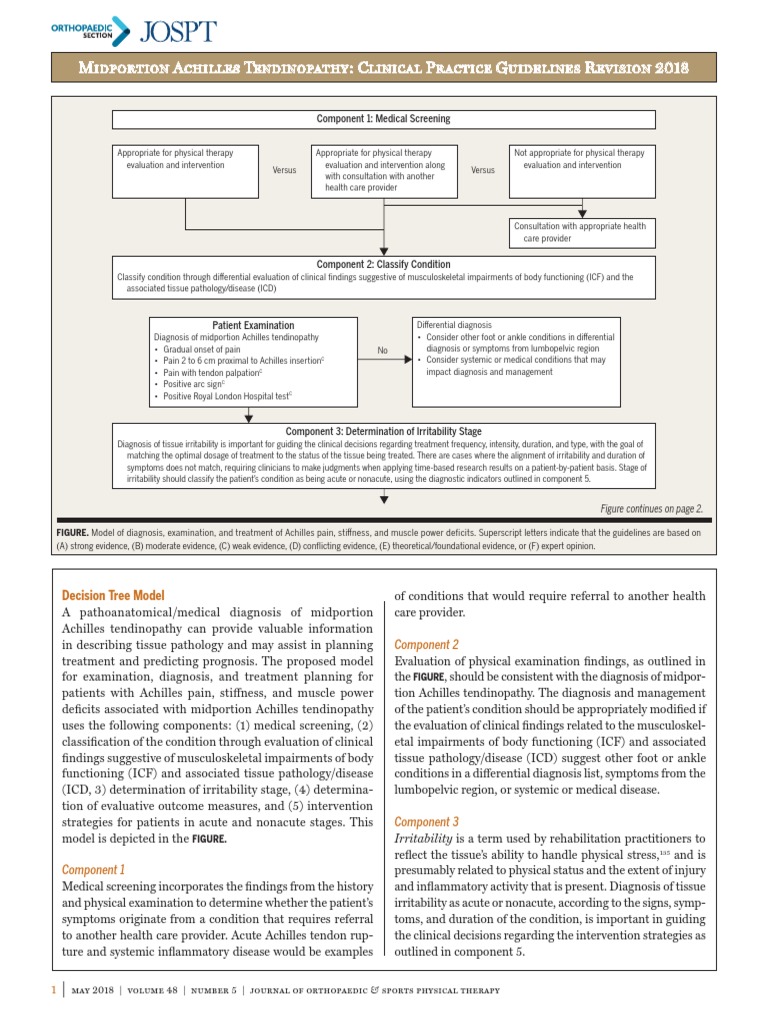 Achilles Revision Decision Tree and Components | PDF | Medical ...
