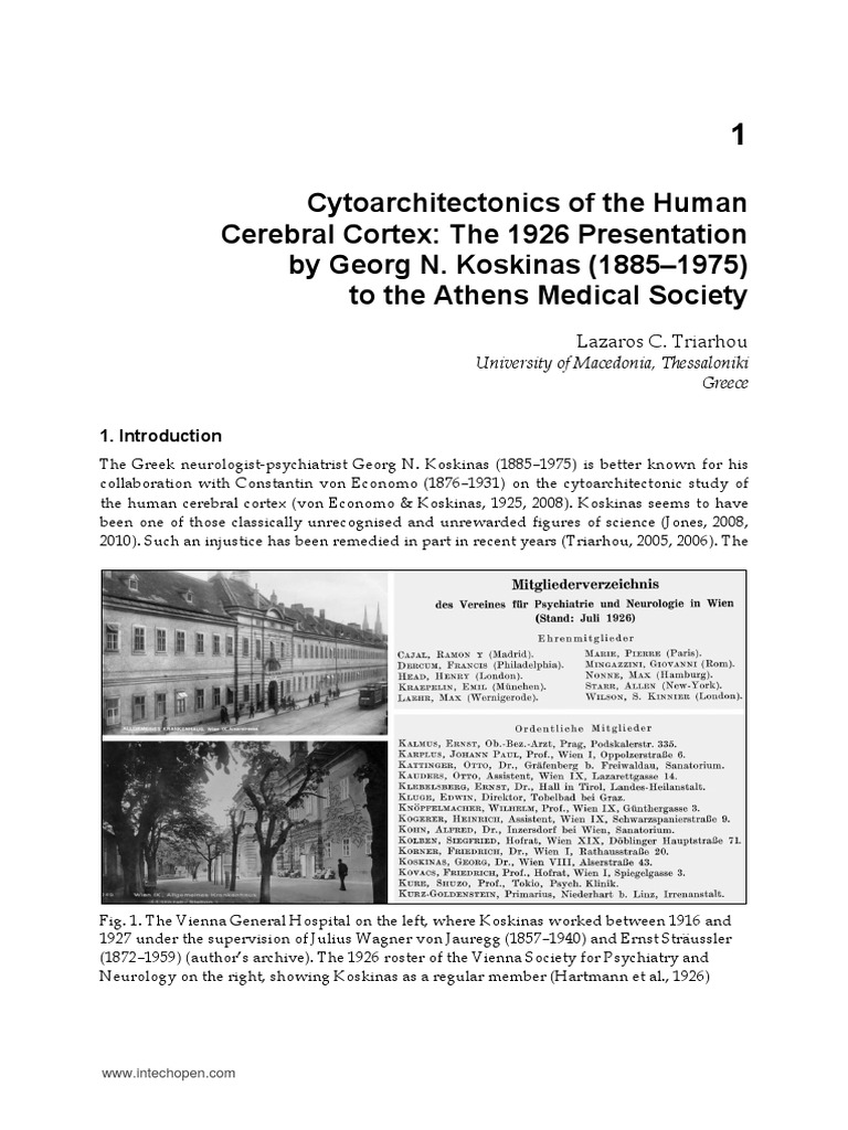 Cytoarchitectonics of The Human Cerebral Cortex | PDF | Parietal Lobe ...