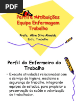 Perfil e Atribuic3a7c3b5es Equipe Enfermagem Trabalho