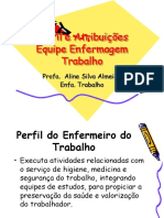 Perfil e Atribuic3a7c3b5es Equipe Enfermagem Trabalho