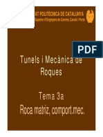 TiMR2012_RocaMatriu.pdf