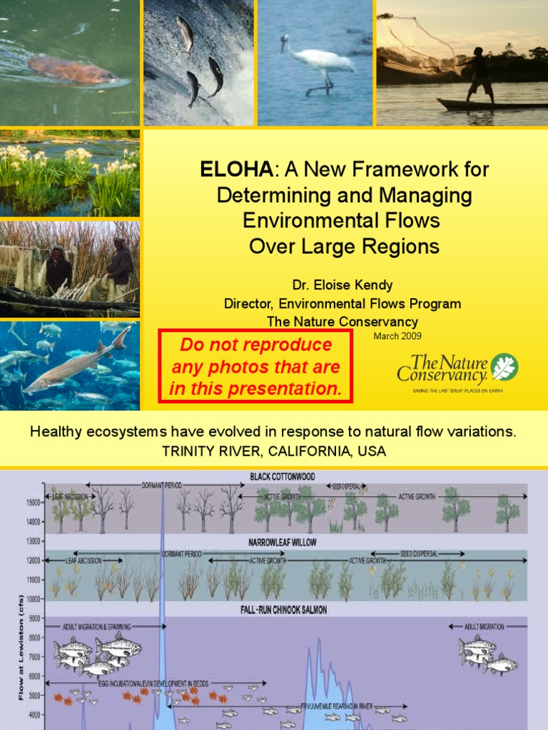ELOHA Overview-Full W Basic Eflows | PDF | Ecology | River
