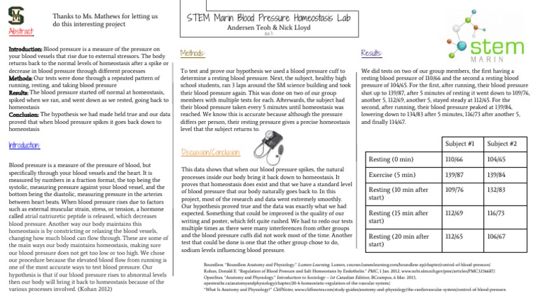 Homeostasis physiology image