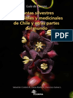 Plantas-silvestres-comestibles-medicinales-chile-y-mundo.pdf