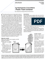 Growing Cucumbers in A Plastic Trash Container