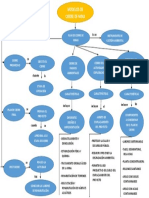 Mapa Conceptual