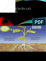 Nutricion en las plantas.pptx