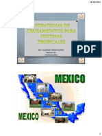 Estrategias de Cruzamientos para Sistemas Tropicales PDF