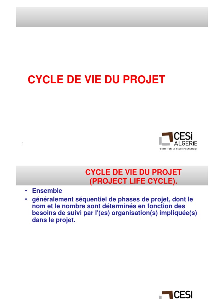 Cycle de Vie d'un Projet en Gestion | PDF | Gestion de projet | Analyse ...