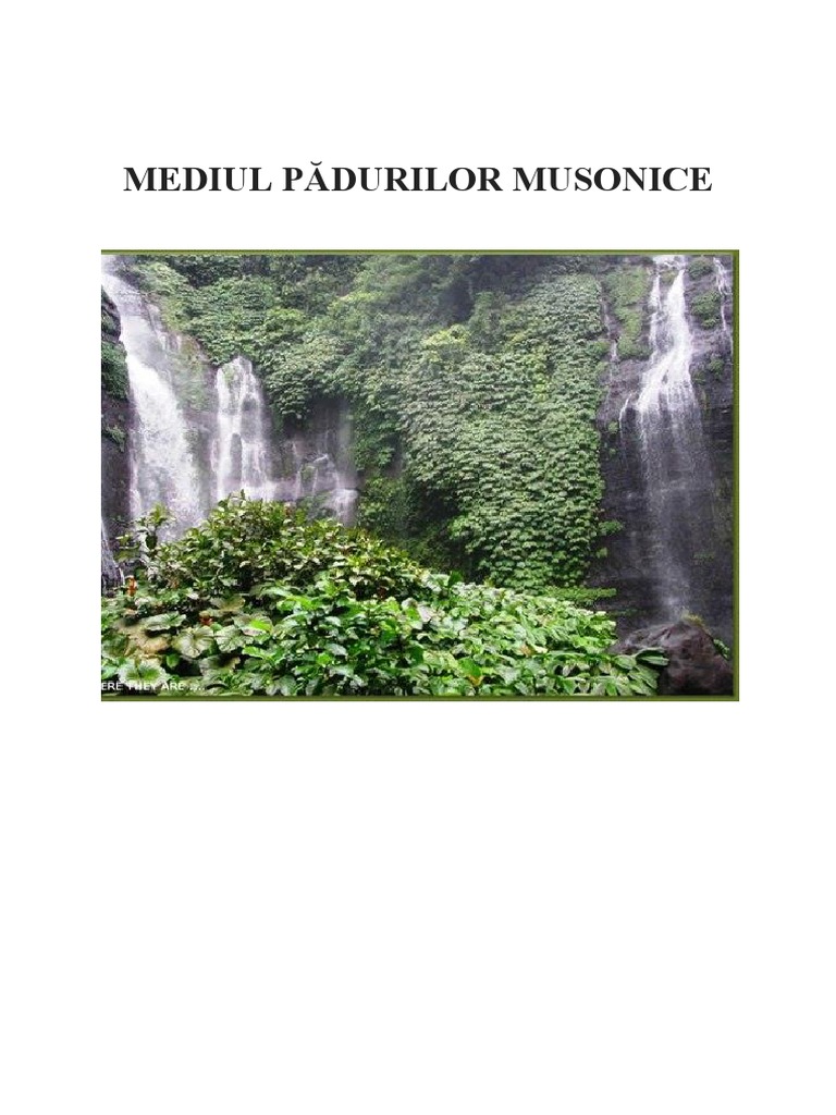 Mediul Pădurilor Musonice | PDF