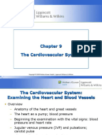 The Cardio Vascular