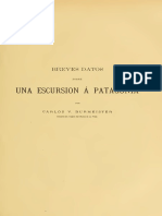 Burmeister - 1891 - Breves Datos Sobre Una Excursión A Patagonia - RMLP - 2