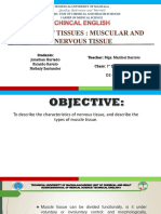 Types of Tissues Muscular and Nervous Tissue