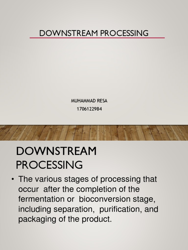 Downstream Processing PDF Chromatography Filtration
