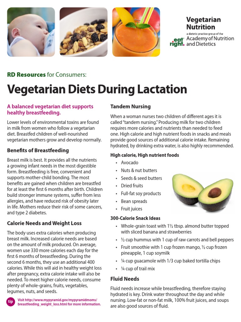 Lactation Vegetarian Nutrition PDF Soy Milk Breastfeeding