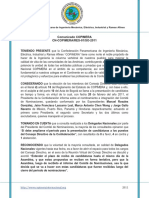 110506_COPIMERA1x.pdf
