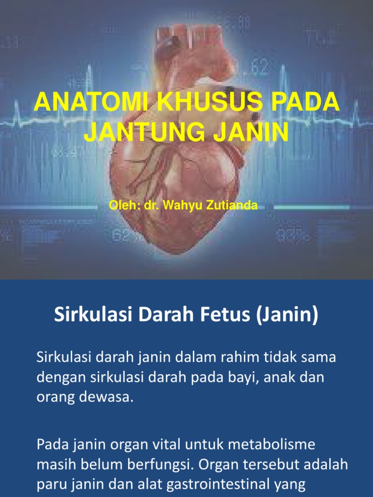 Anatomi Jantung Janin | PDF