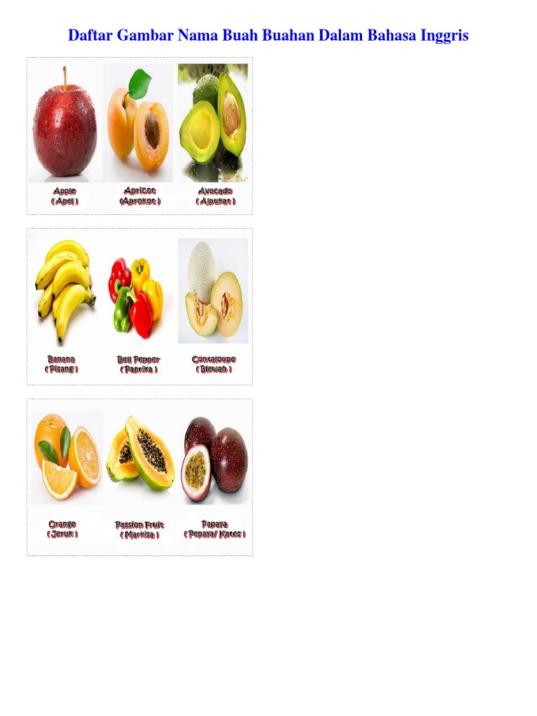 Daftar Gambar Nama Buah Buahan Dalam Bahasa Inggris Pdf