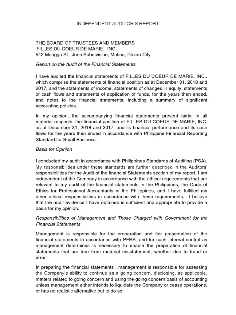 Report On The Audit of The Financial Statements | PDF | Going Concern ...