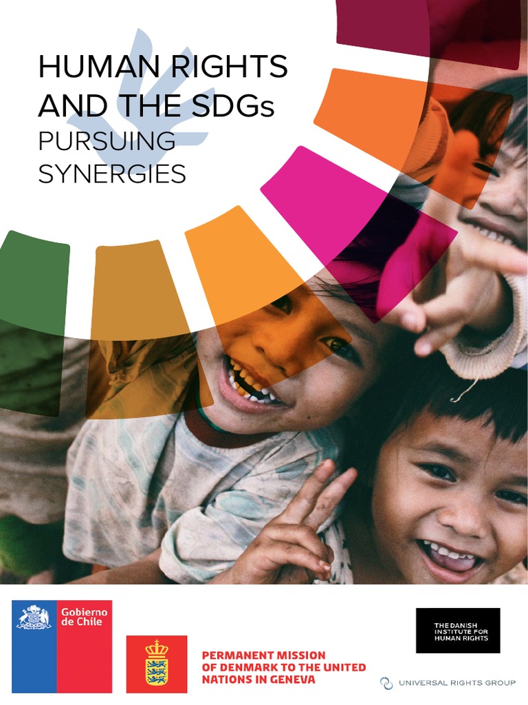 Human Rights & SDGs: Synergy Pathways | PDF | Human Rights | Capacity ...