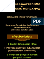 Anti TB KBK FK USU