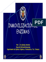 00 - INMOVILIZACIÓN - Introduccion (Modo de Compatibilidad)