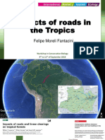Fantacini, F. Impacts of Roads