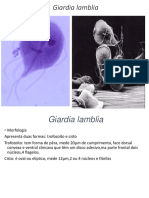 Giardia PDF