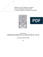 CONTAMINACIÓN AMBIENTAL DE LA BAHÍA DE PUNO DEL TITICACA.pdf