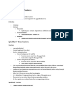 Spinal Cord - Gross Anatomy