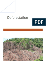 Deforestation