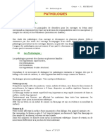 C6.pdf