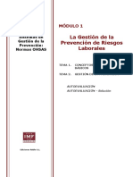 La Gestión de La Prevención de Riesgos Laborales: Módulo 1