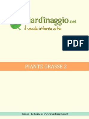 Piante Grasse 2