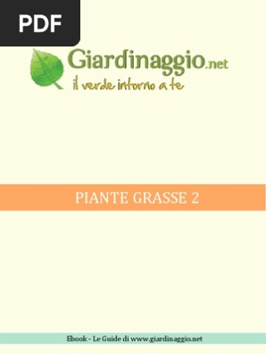 Piante Grasse 2