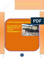 1. PROG. FORTALECIMIENTO GOB LOCALES.doc