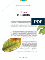 Zinc Plantas