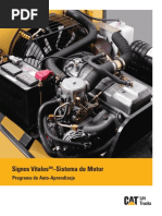 PMs MONTACARGA CAT 2PD6000 | PDF | Neumático | Aceite de motor