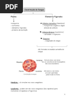 RESUMOS SISTEMA CIRCULATÓRIO.docx